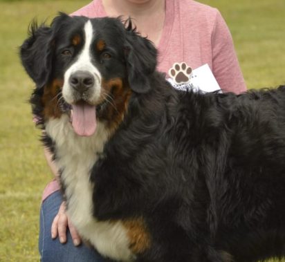 Antonia von den Leuenberger Bären